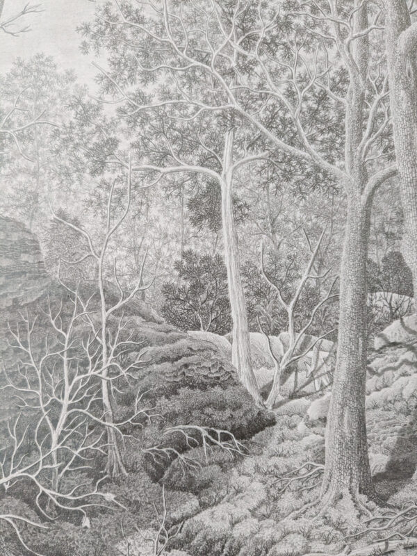 wintersun forest - Image 4