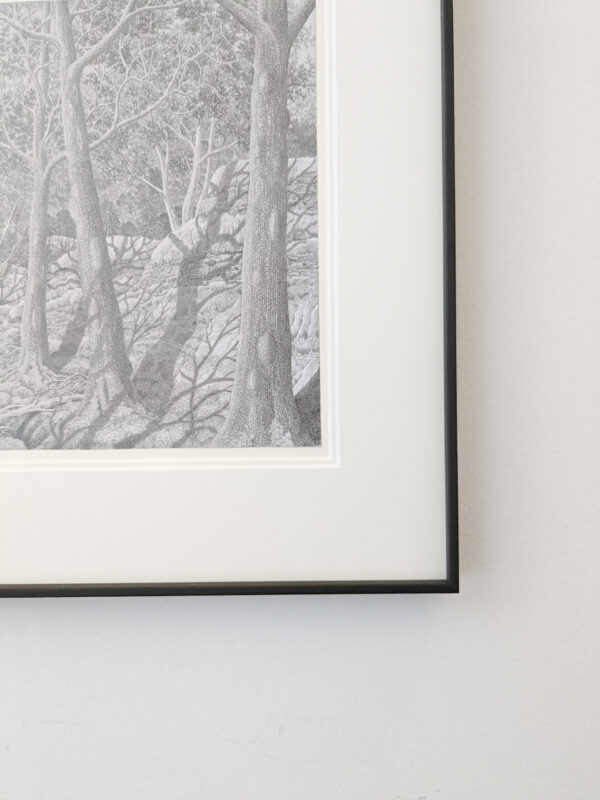 wintersun forest - Image 5