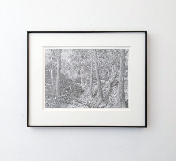 wintersun forest - Image 2