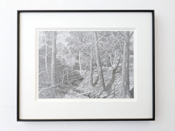 wintersun forest