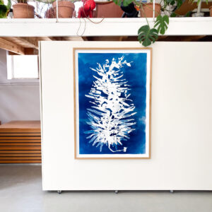 undarium pinnatifida (wakame #1)