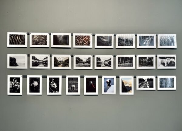 flattend - Image 2