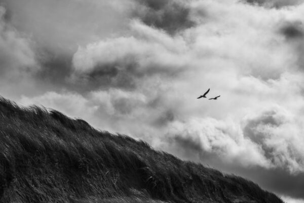 verloren onschuld - Image 2