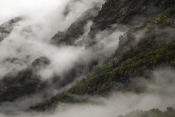 waves of silence - Image 3