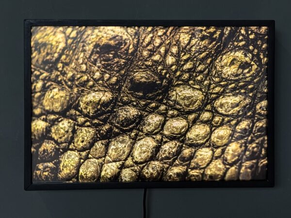 lumina crocskin