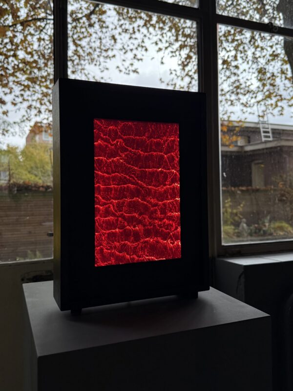 lumina rose - Image 2