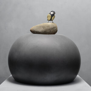 down to earth and up (t)(w)here