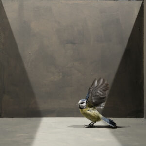 geometrics with fluttering tit bird