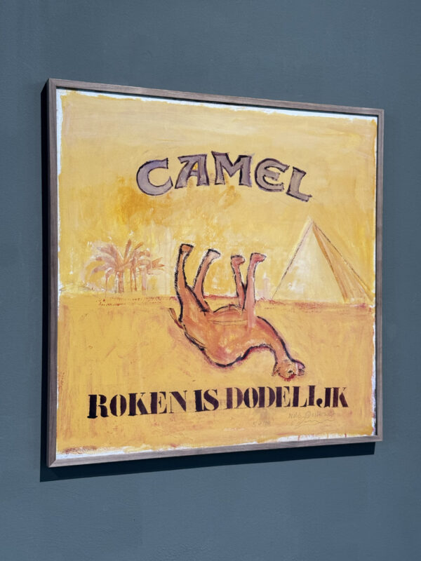 camel - Image 4