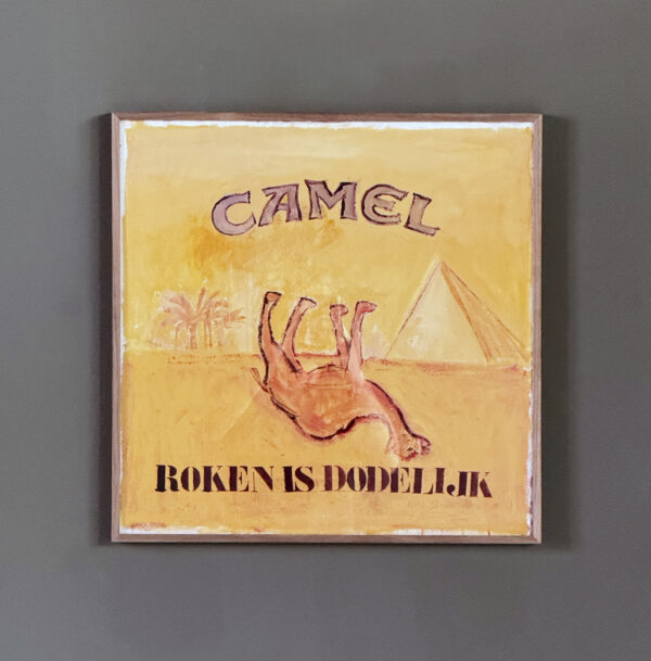 camel - Image 3
