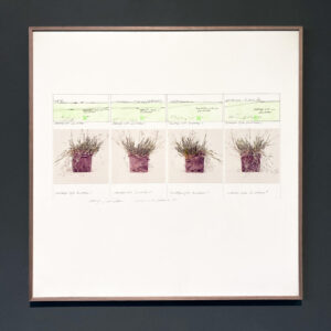 studie voor landschap II