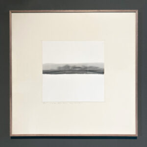 foto 3 in serie herhaalde beweging - bewogen landschap II