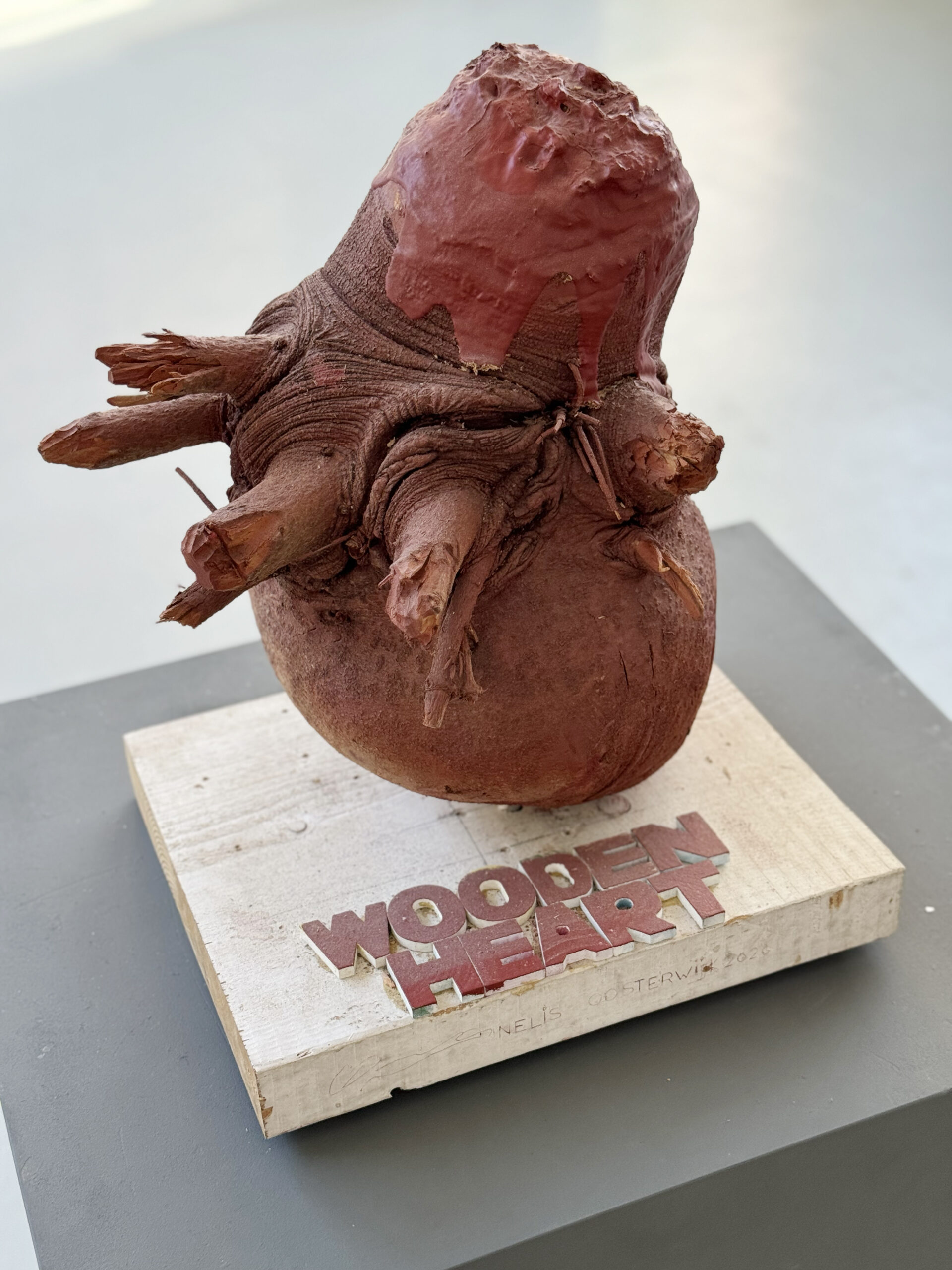 Nelis Oosterwijk Wooden Heart Gallery Untitled 1076 kopie