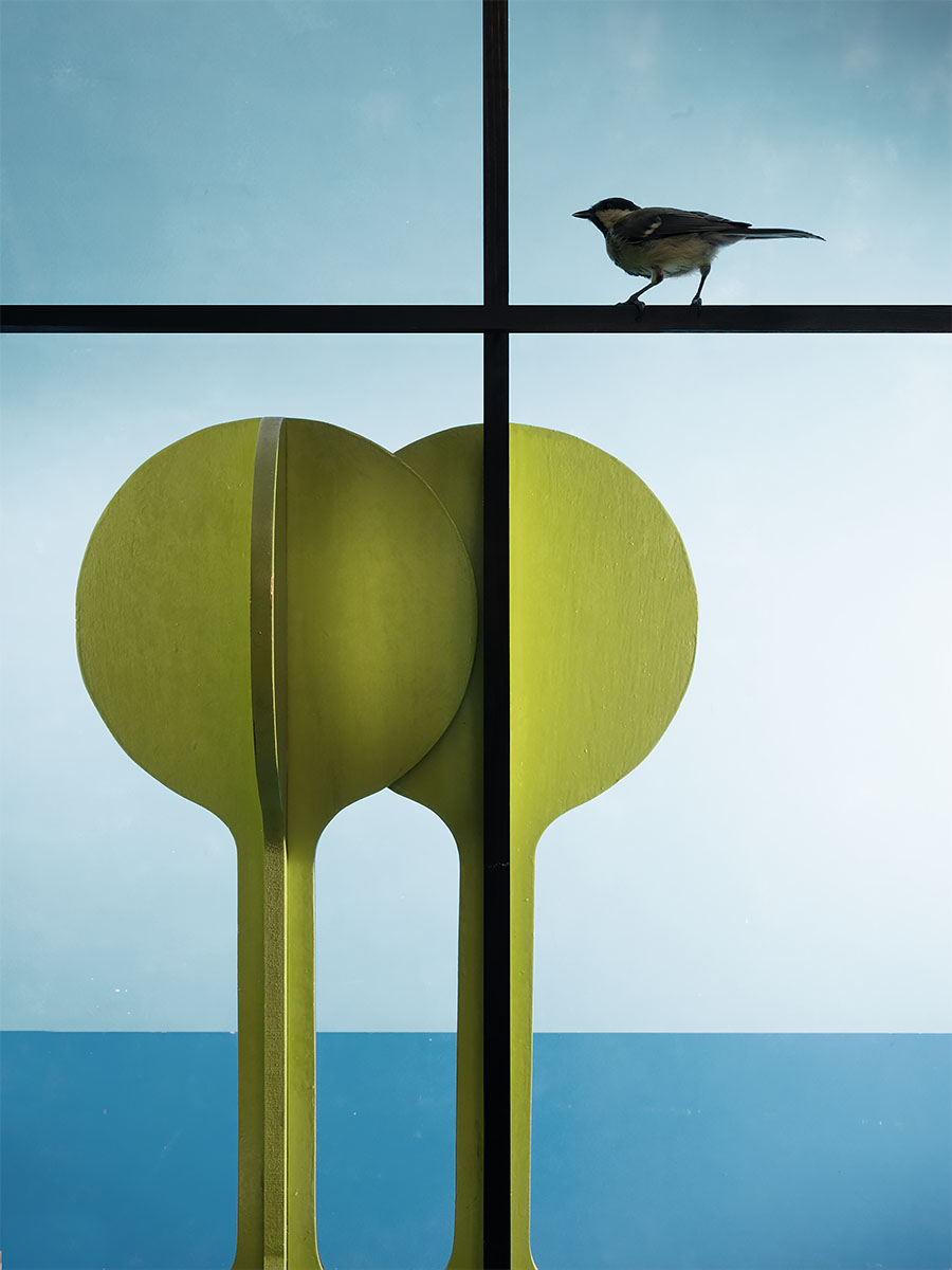 far away here - Image 2