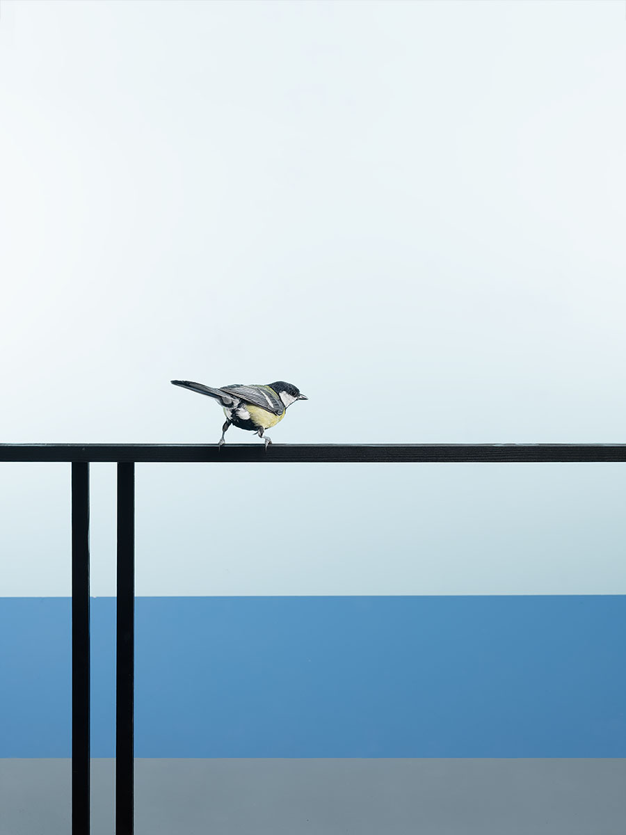 far away here - Image 4