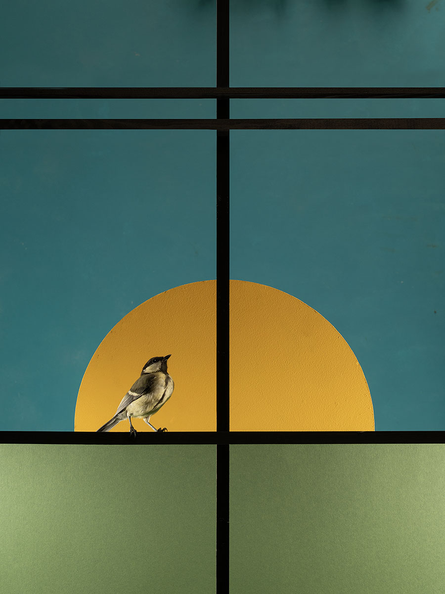 far away here - Image 5