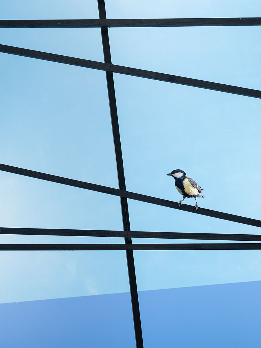 far away here - Image 3