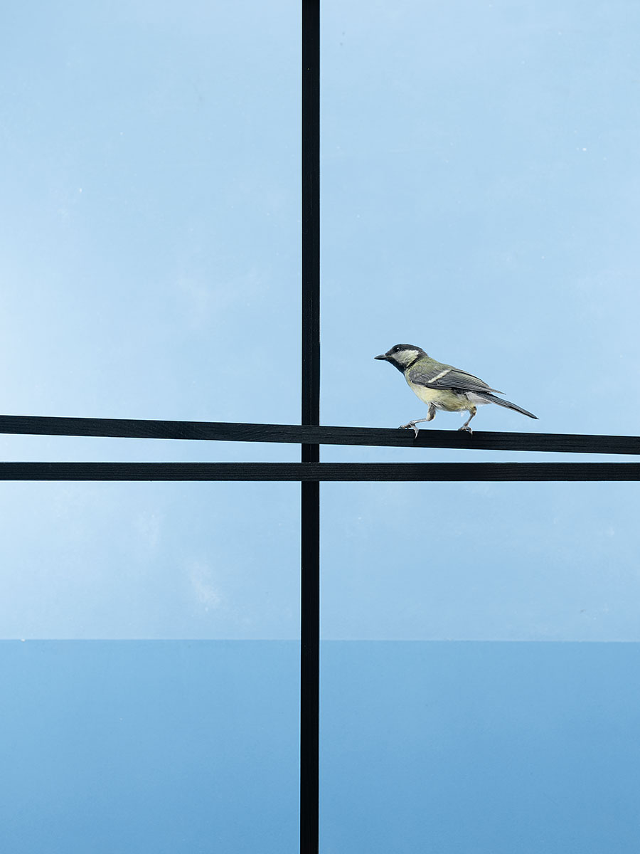 far away here - Image 6