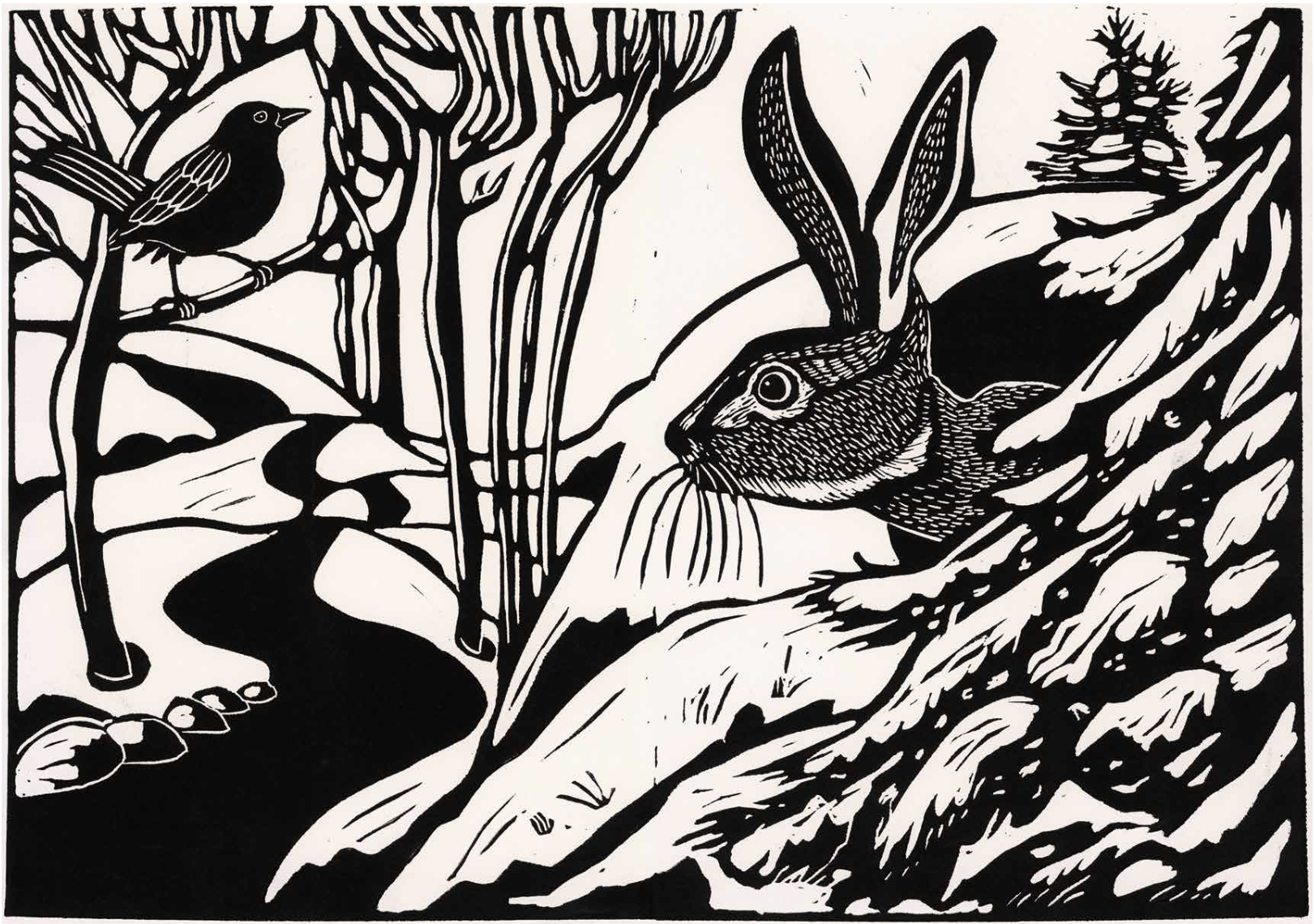 waar komen de bomen vandaan?