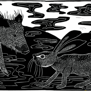 haassie en het zwijn