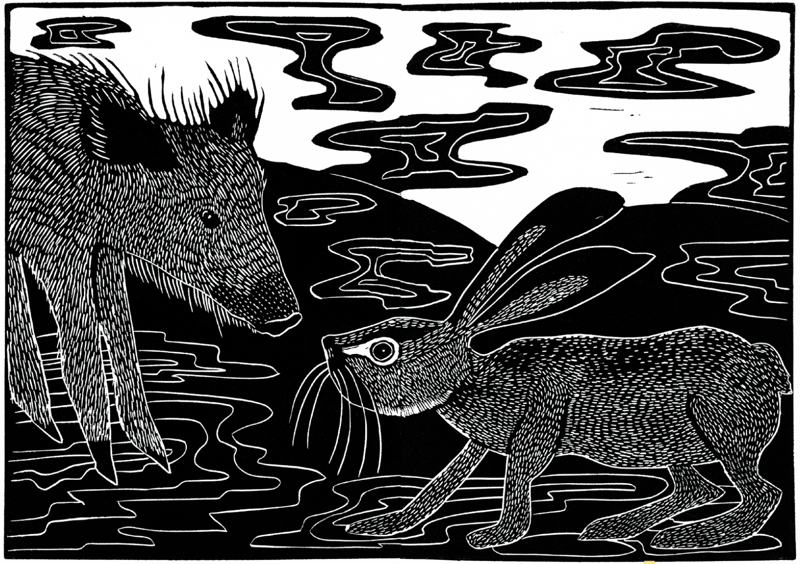 haassie en het zwijn