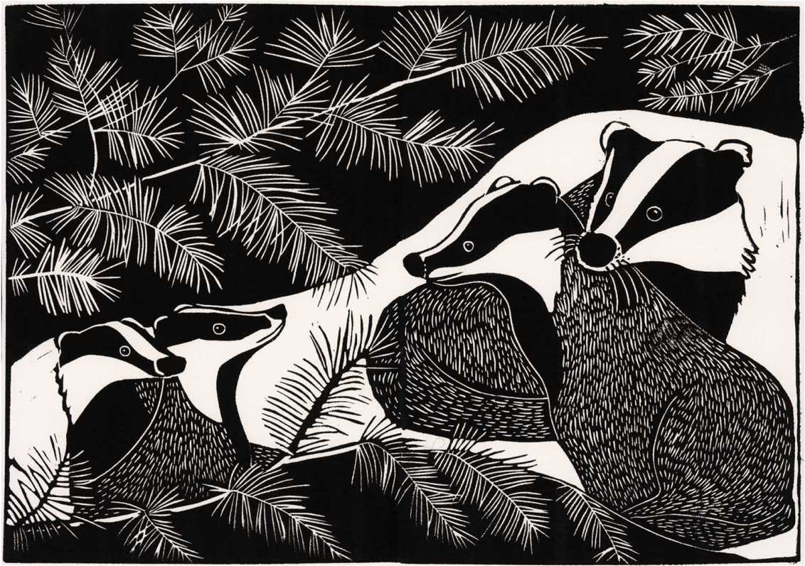 de dassen en hun jongen