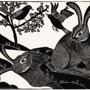 was ik hier altijd al?