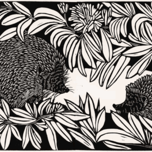 de egel en haar jong