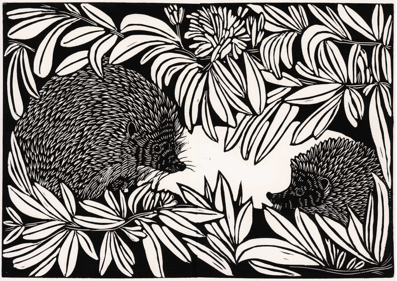 de egel en haar jong