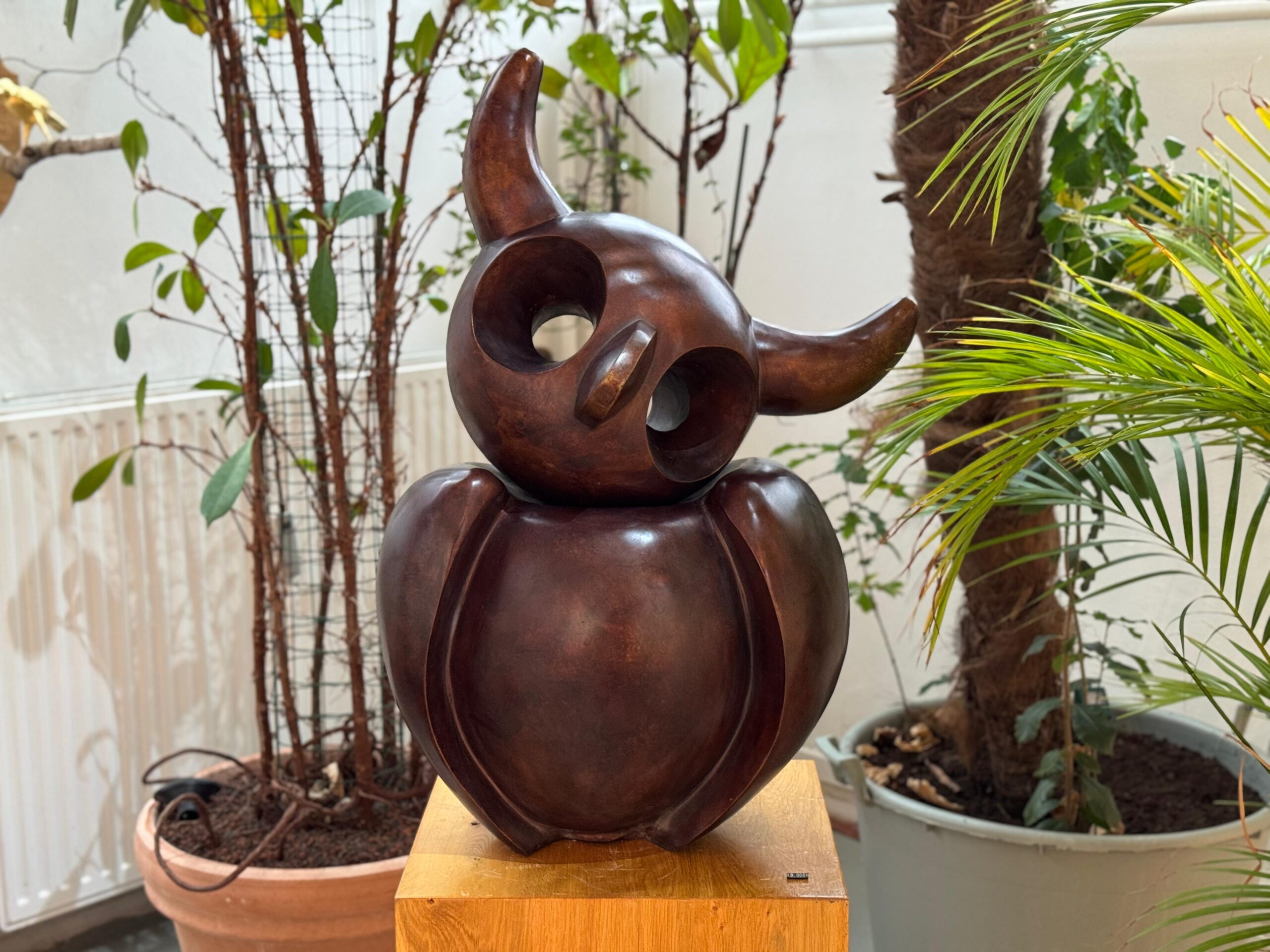 WhatsApp Image 2025-11-15 at 16.12.11 (1)