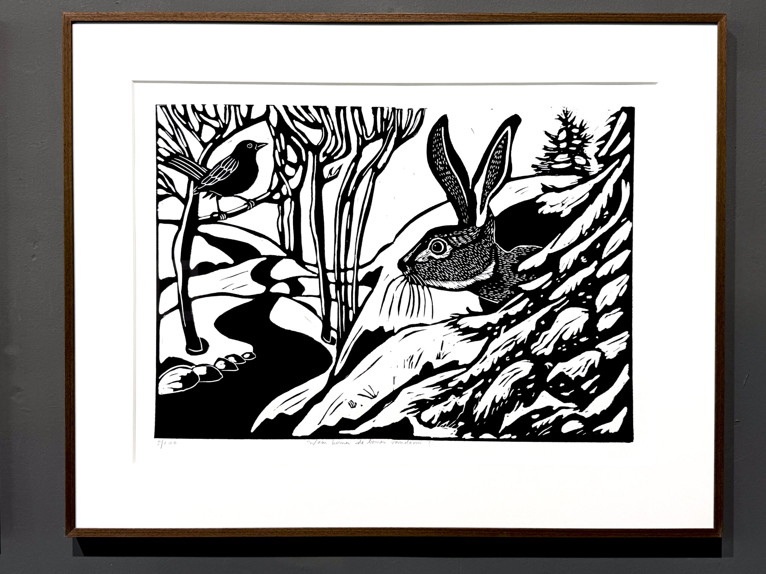 waar komen de bomen vandaan? - Image 2