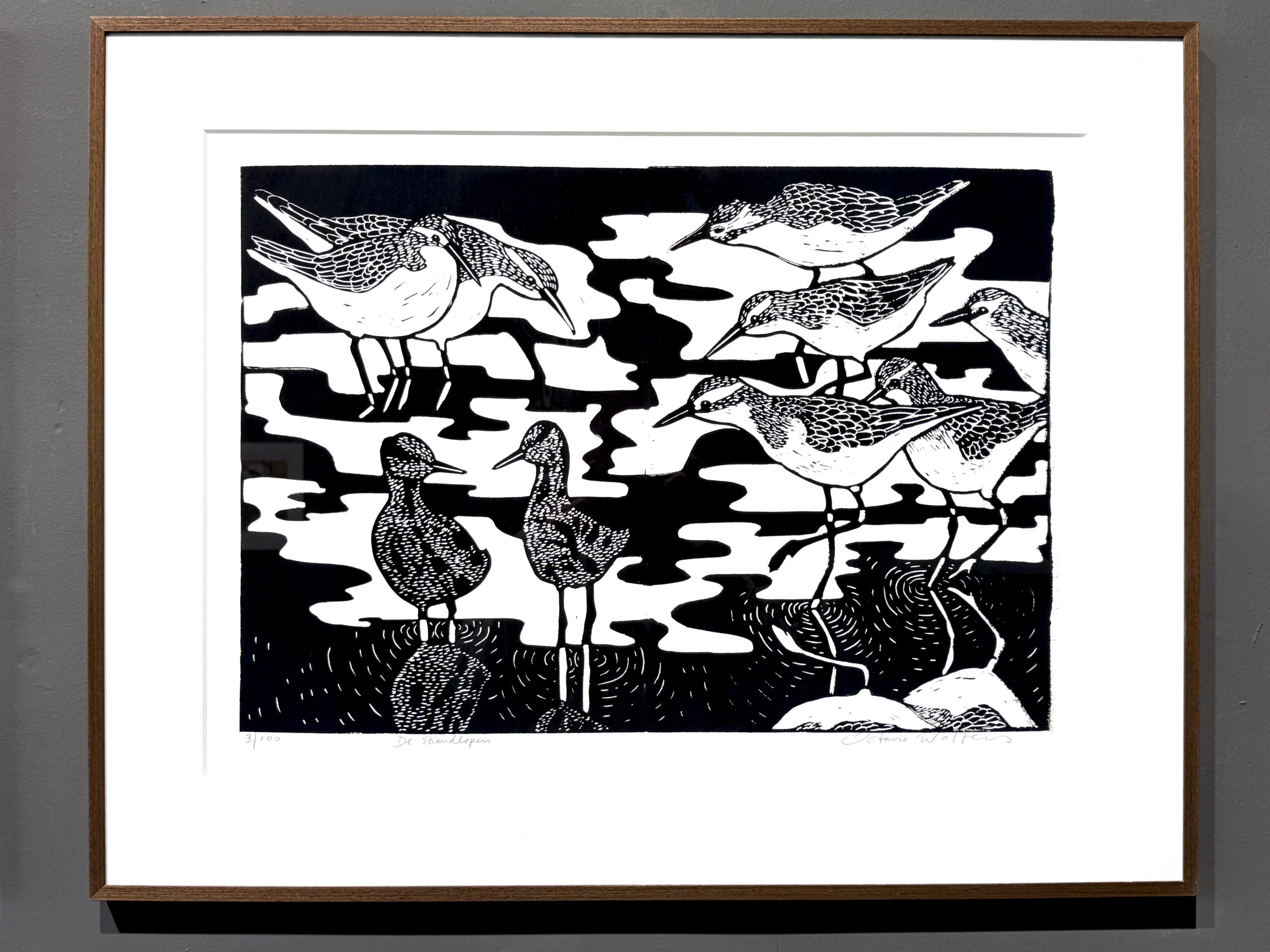 de strandlopers - Image 2