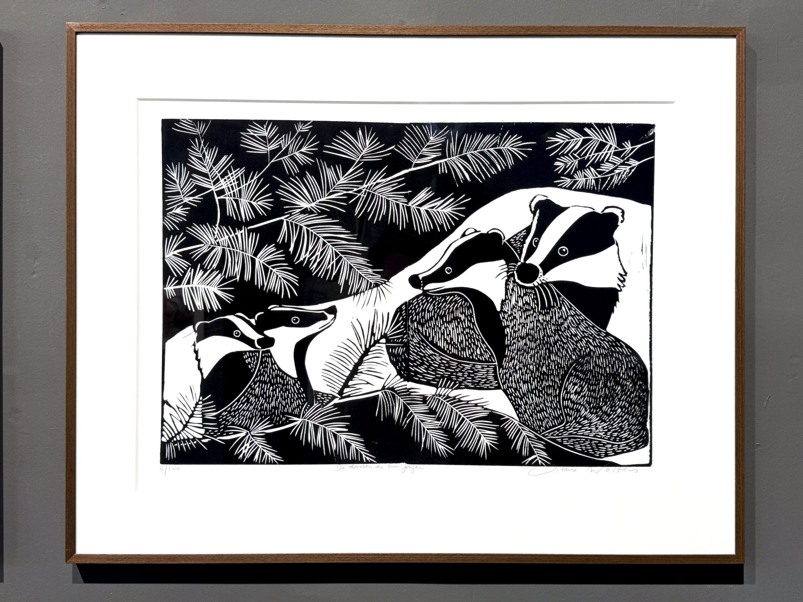 de dassen en hun jongen - Image 2