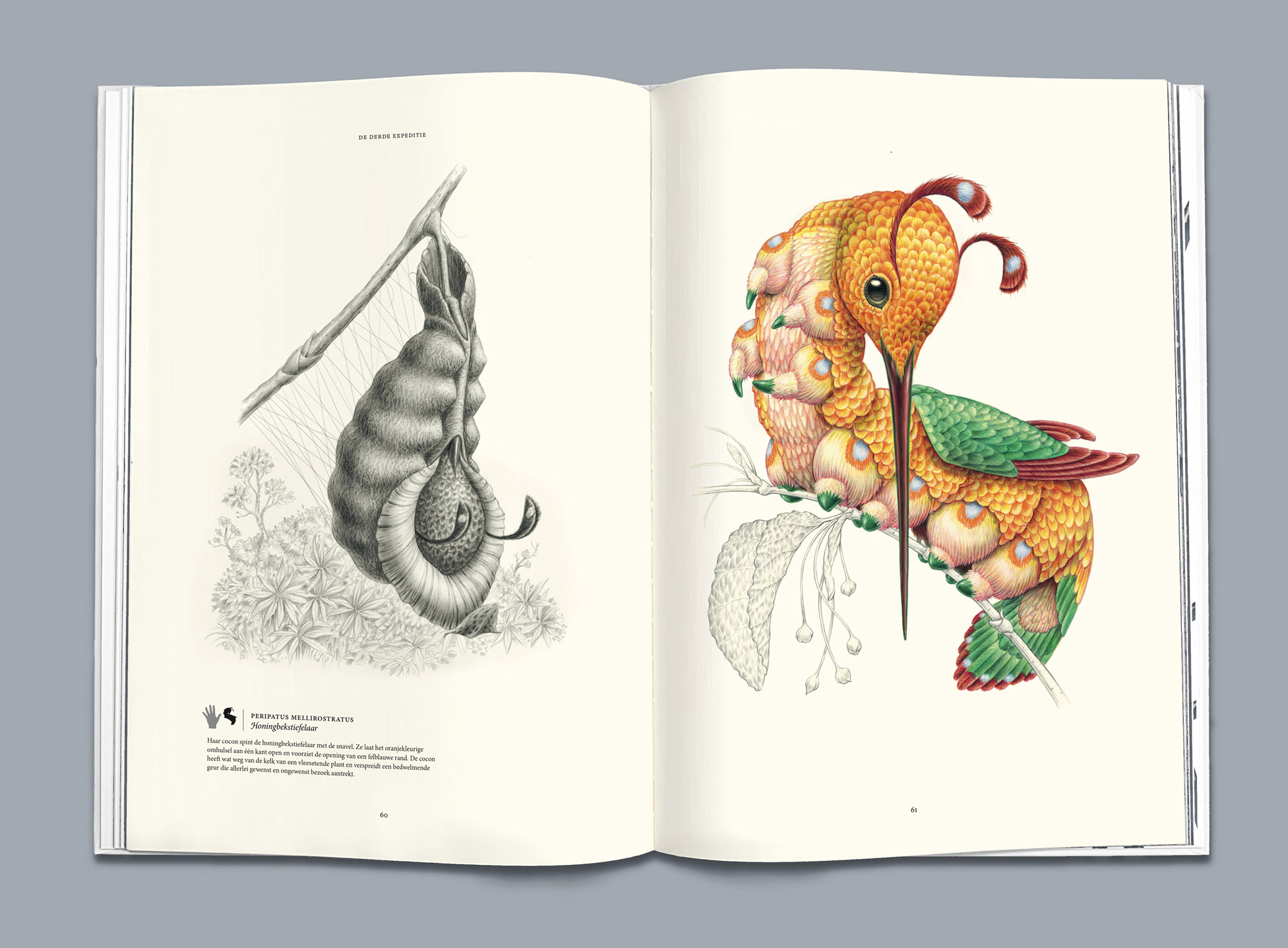 terra-ultima-boek-11