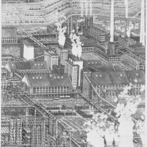 chemieconcern DSM in vogelvlucht
