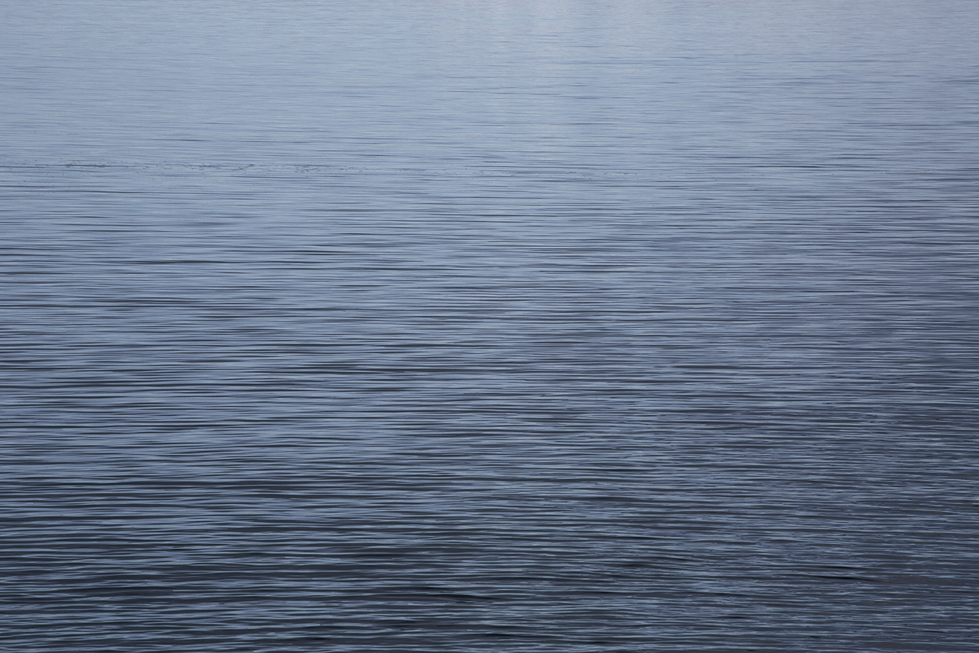 panta rhei, waddenzee