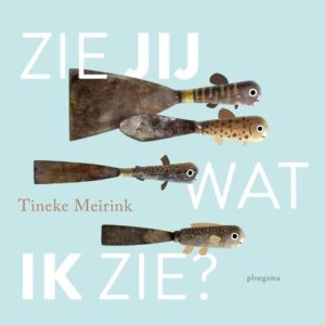 zie jij wat ik zie - Tineke Meirink