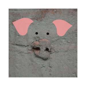 piggy