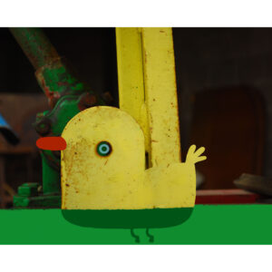 yellow duck