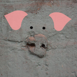 piggy