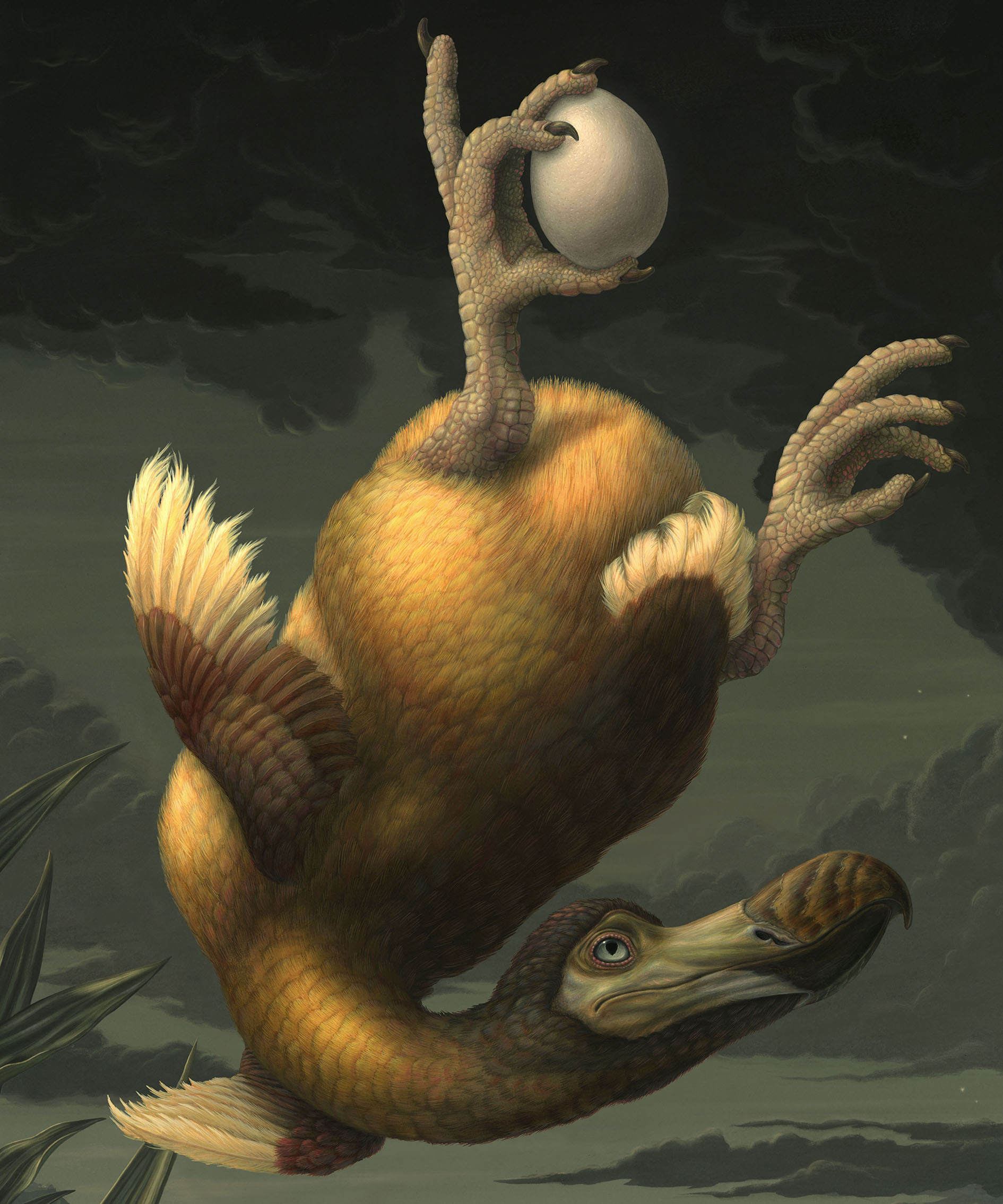 the tragic fate of the dodo - Image 2