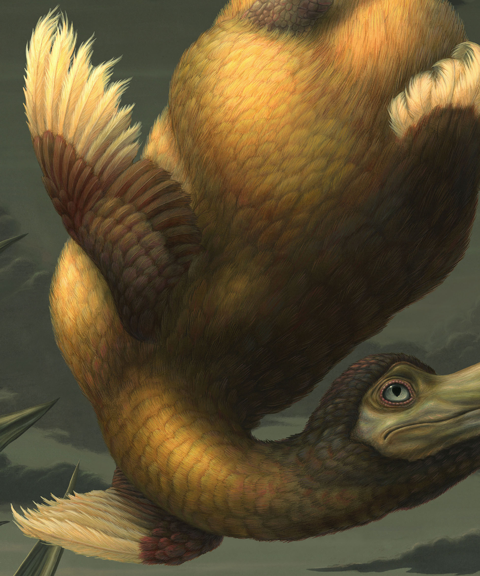 the tragic fate of the dodo - Image 3