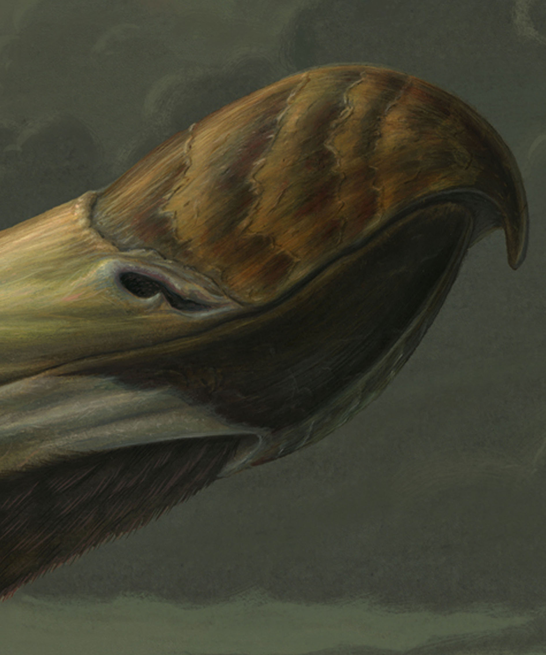 the tragic fate of the dodo - Image 5