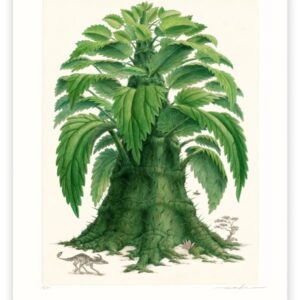 urticodendron irritans